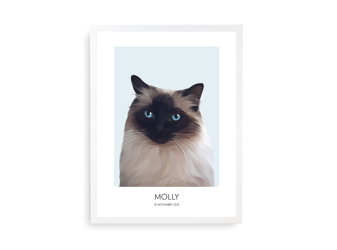 Huisdier portret blauw met kat